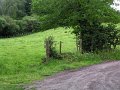 2004 St Clair (14)